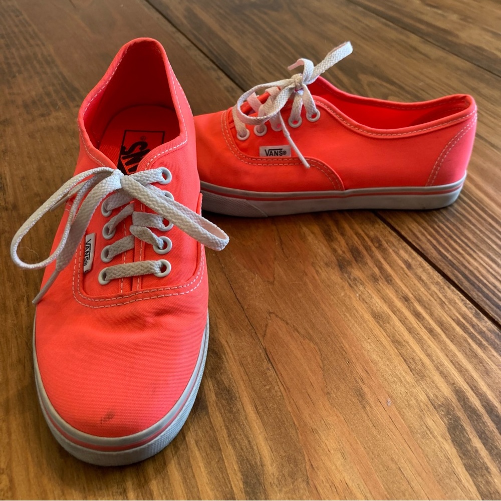 Vans Canvas Skate Sneakers